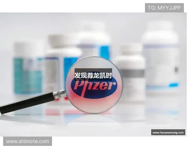 尊龙凯时z6官方节日活动盛大开启，精彩纷呈的奖励等你来拿