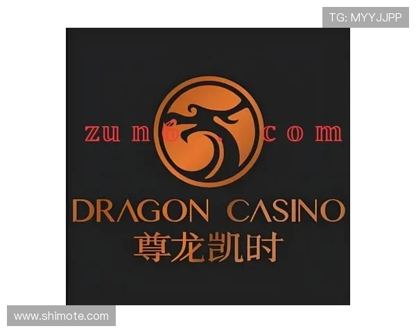 尊龙时凯官方网站入口网页版常见问题解答与用户使用体验分享