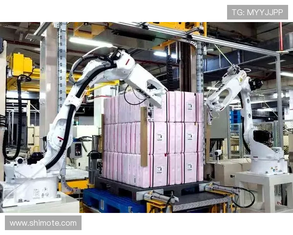 揭示Z6尊龙凯时集团在可持续发展方面的努力与成就