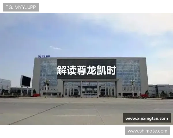 揭秘尊龙凯时网址官方网站的用户体验与客户服务 揭秘尊龙凯时网址官方网站的用户体验与客户服务