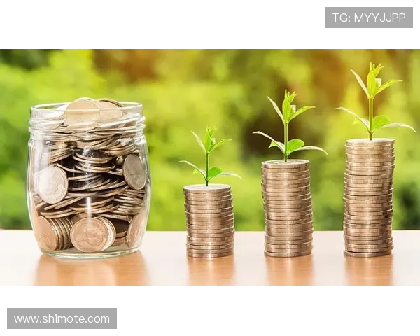 尊龙人生就是博新版虚拟经济体系介绍，合理投资规划实现财务自由