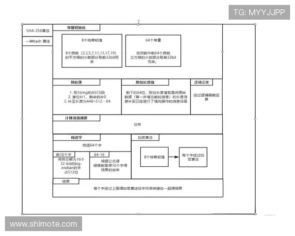 尊龙时凯官方网站入口：官方入口的安全验证流程与账号安全保障措施